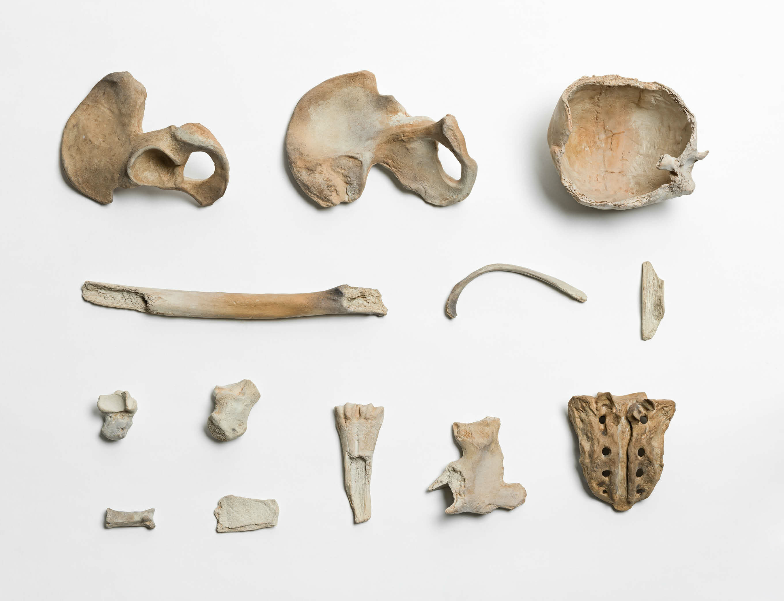 Extended dates for 'Ai Weiwei on Porcelain' at Sakip Sabanci Museum