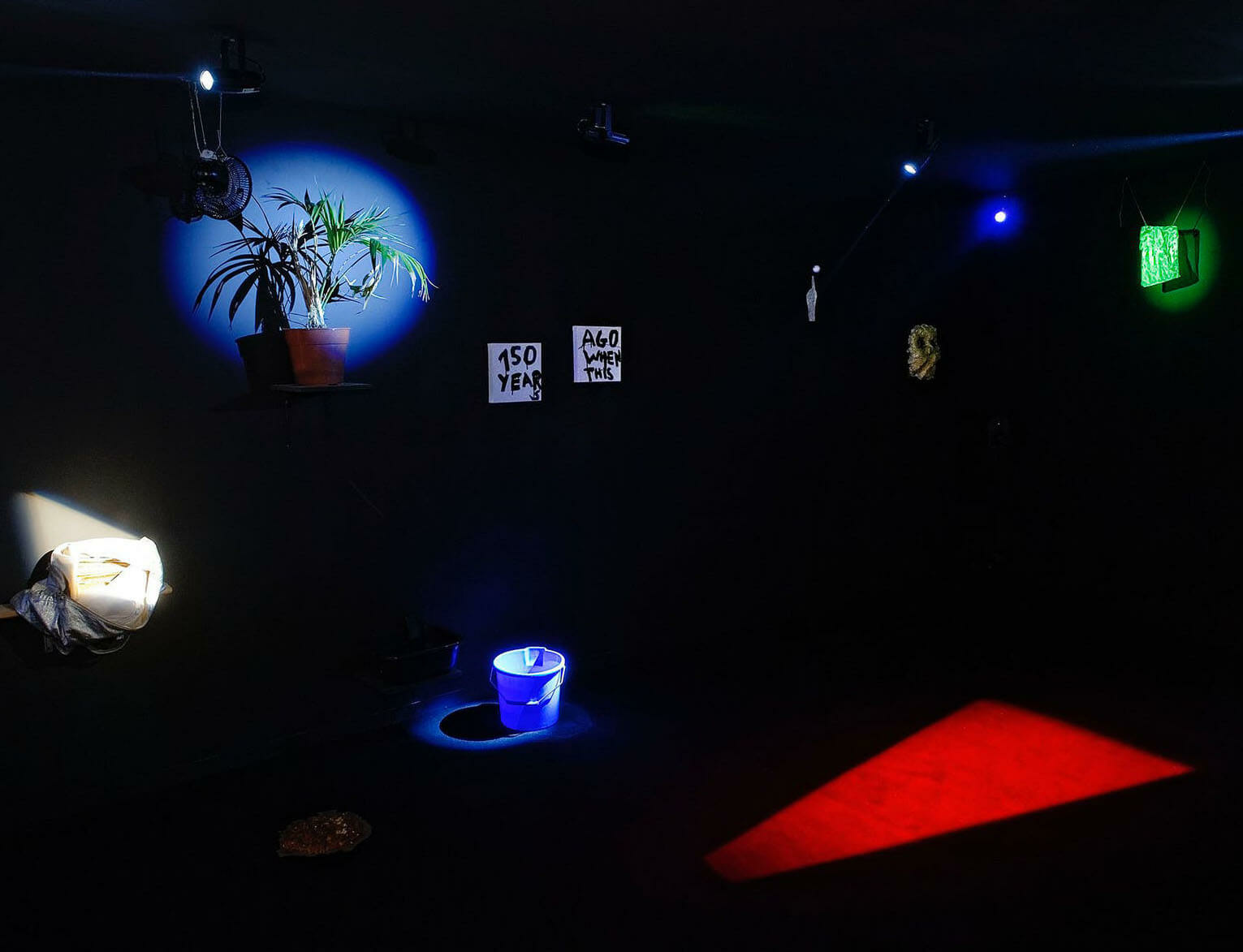 Laure Prouvost debuts new installation and performance at Walker Art Center