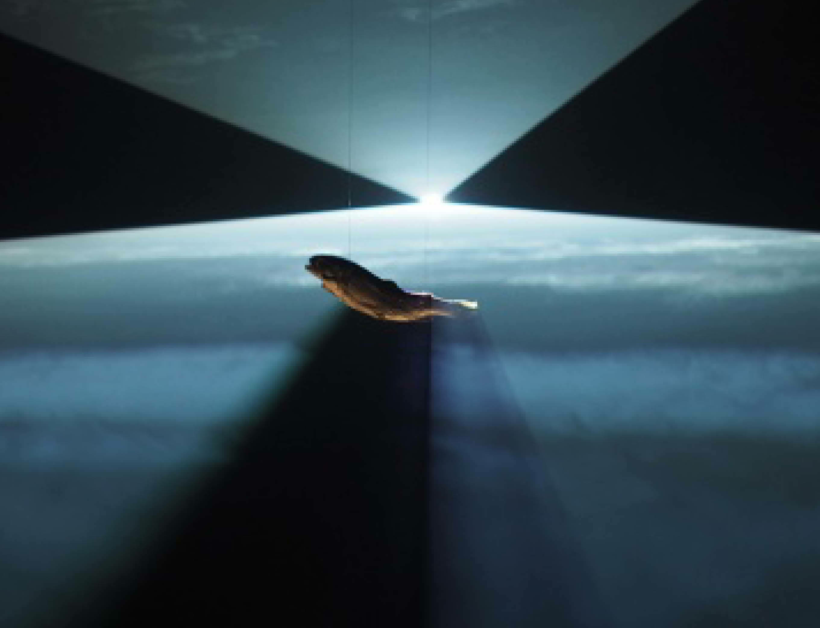 Laure Prouvost creates first work for stage in new collaborative performance
