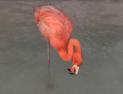 Laure Prouvost exhibits her film 'DIT LEARN' at Art Rotterdam