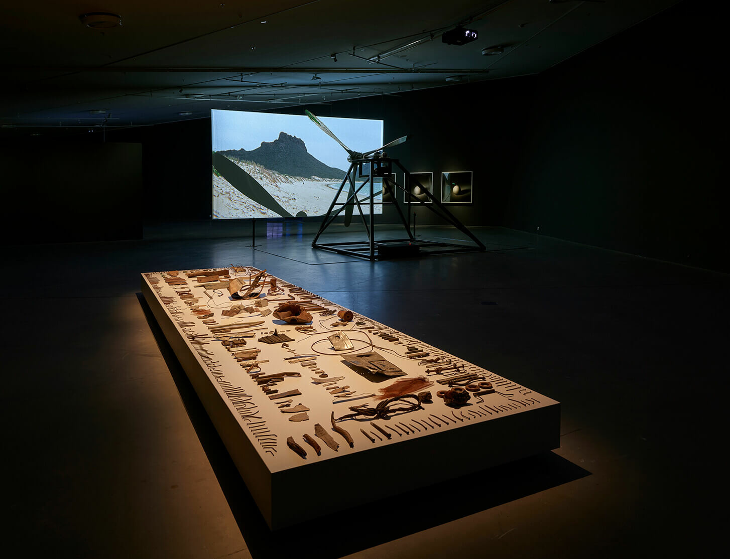 Broomberg & Chanarin present installation 'Dodo' in a group show at Amsterdam's Eye Filmmuseum