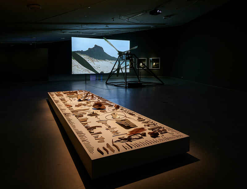 Broomberg & Chanarin present installation 'Dodo' in a group show at Amsterdam's Eye Filmmuseum