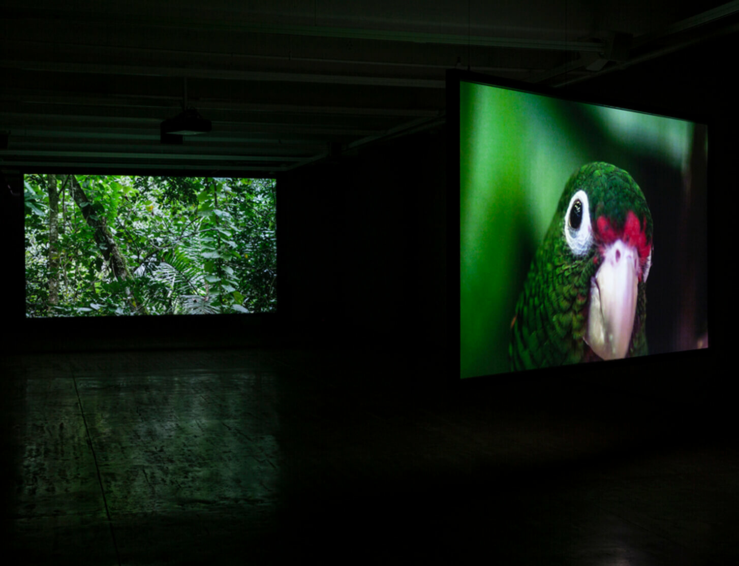 Exhibition at Zacheta Museum in Warsaw opens with works by John Akomfrah and Allora & Calzadilla