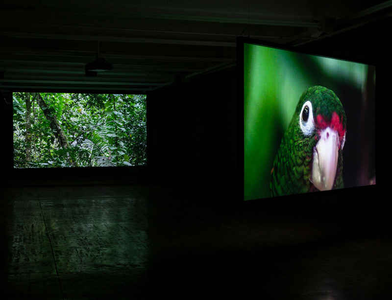 Exhibition at Zacheta Museum in Warsaw opens with works by John Akomfrah and Allora & Calzadilla
