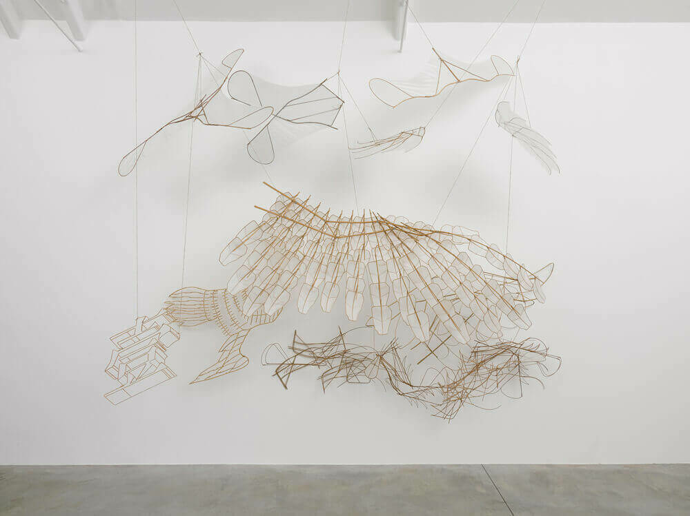Broken Wings In Dreams of Flying