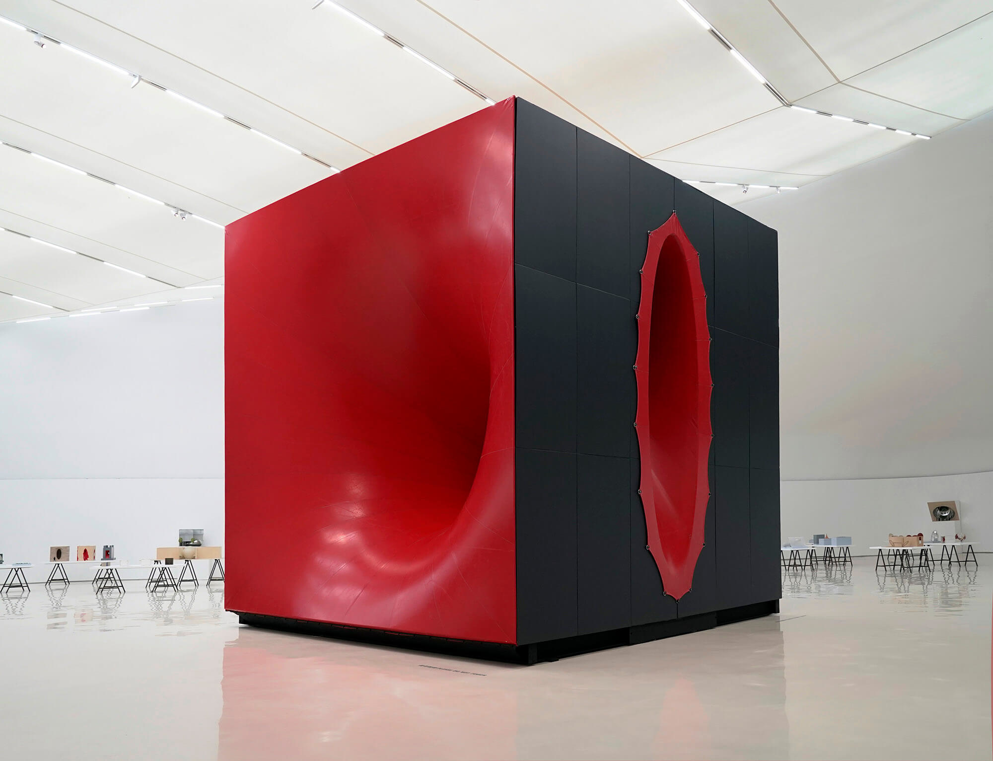 Anish Kapoor