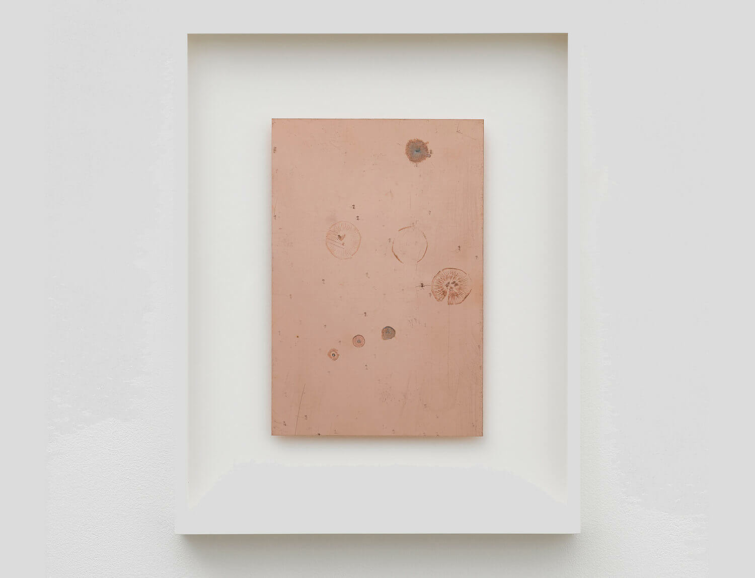 Exhibition on Mushrooms at Somerset House features circuit board works by Haroon Mirza