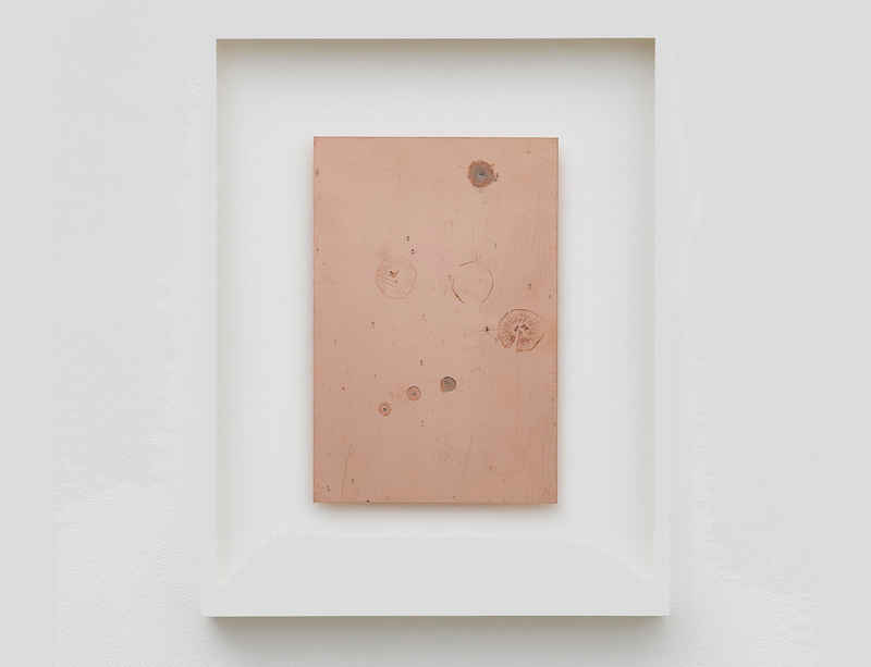 Exhibition on Mushrooms at Somerset House features circuit board works by Haroon Mirza