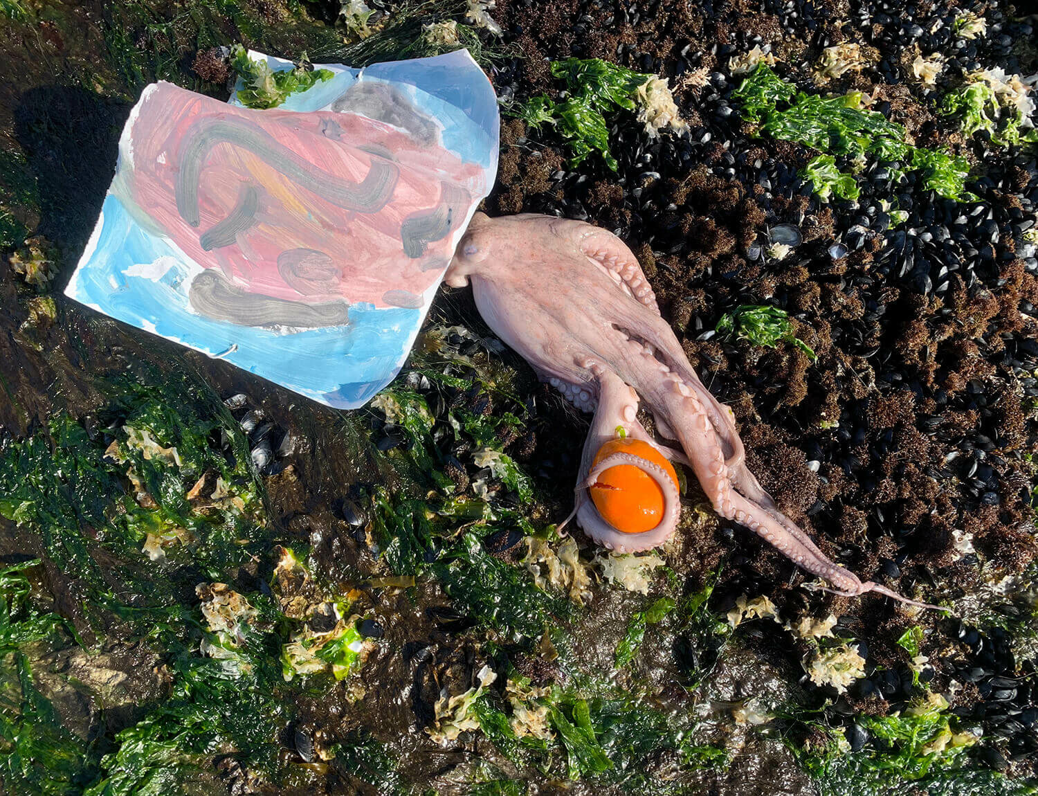Laure Prouvost's first solo exhibition in Portugal at Kunsthalle Lissabon