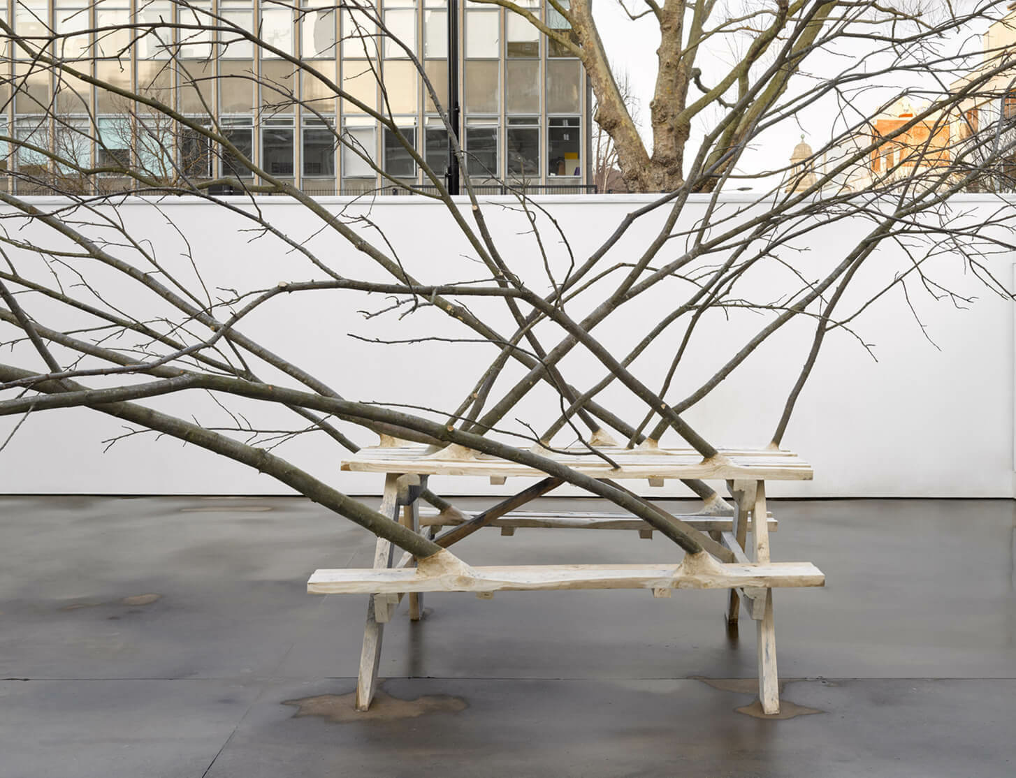 Hugh Hayden Crafts the Legacy of the African Diaspora – Art in America