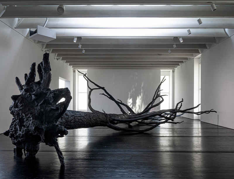 Time, Energy and Bat Guano: A New Exhibit of Overlooked Connections – Allora & Calzadilla in WSJ