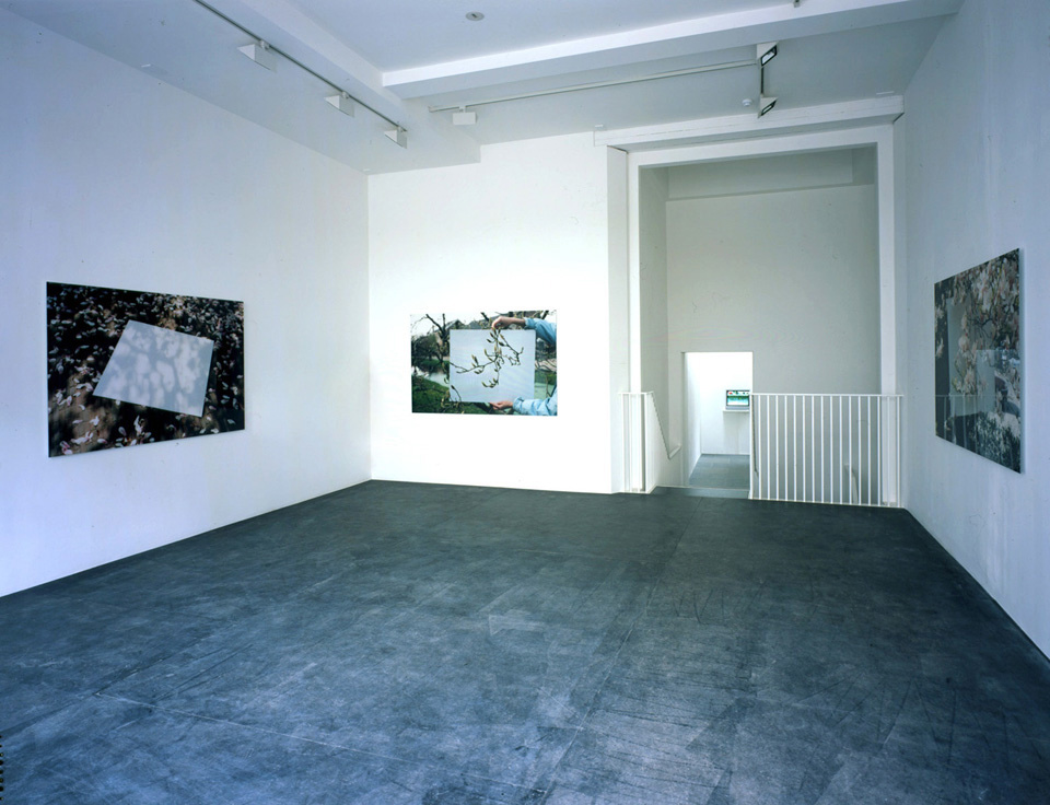 Marijke Van Warmerdam: Promise