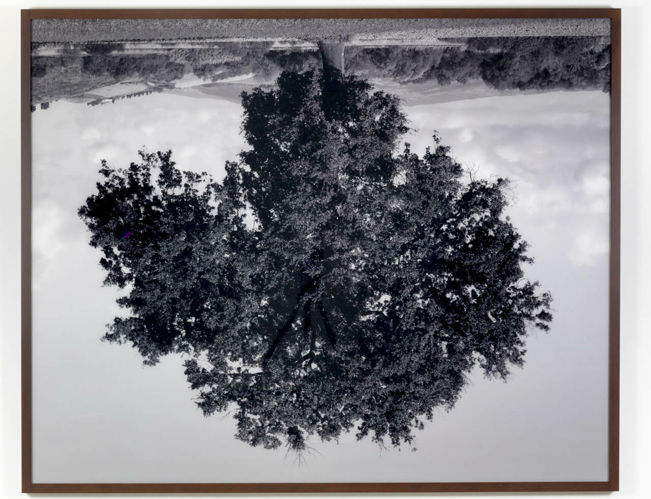 Lisson Gallery at Frieze New York