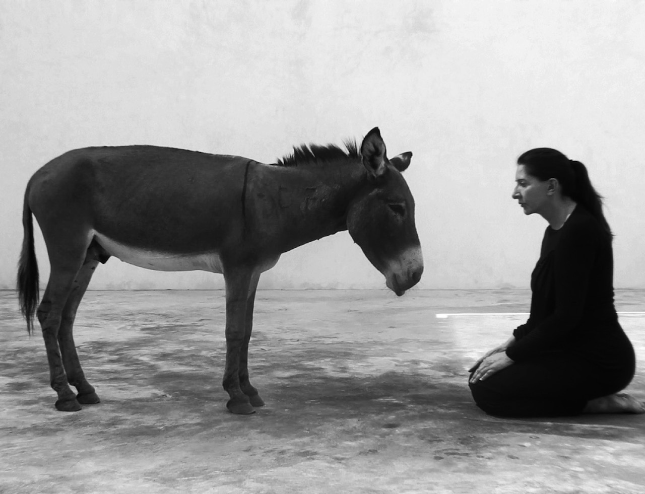 Marina Abramovic – Terra Comunal, São Paulo