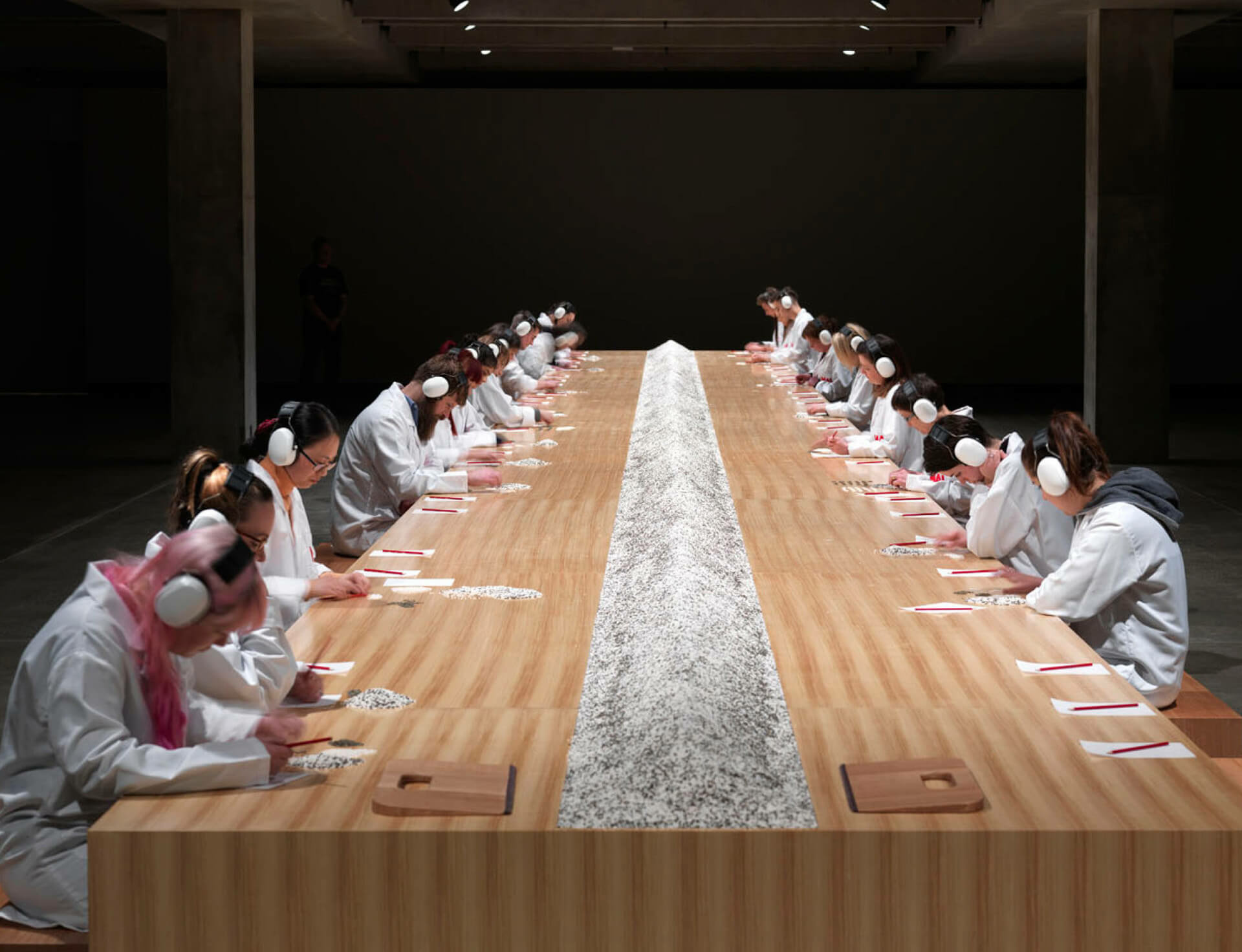 Marina Abramovic at MONA and Kaldor Projects in Australia