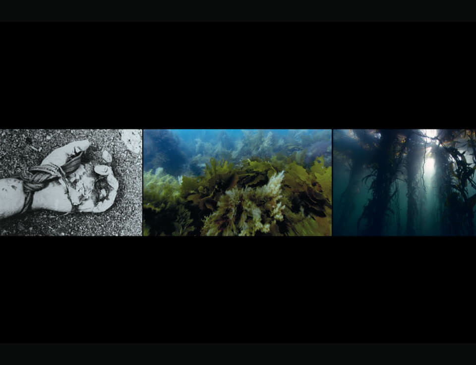'Vertigo Sea' travels to Sweden