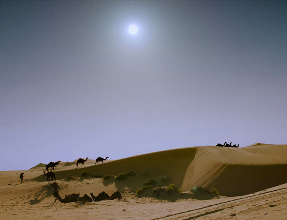 Wael Shawky nominated for Hugo Boss Prize