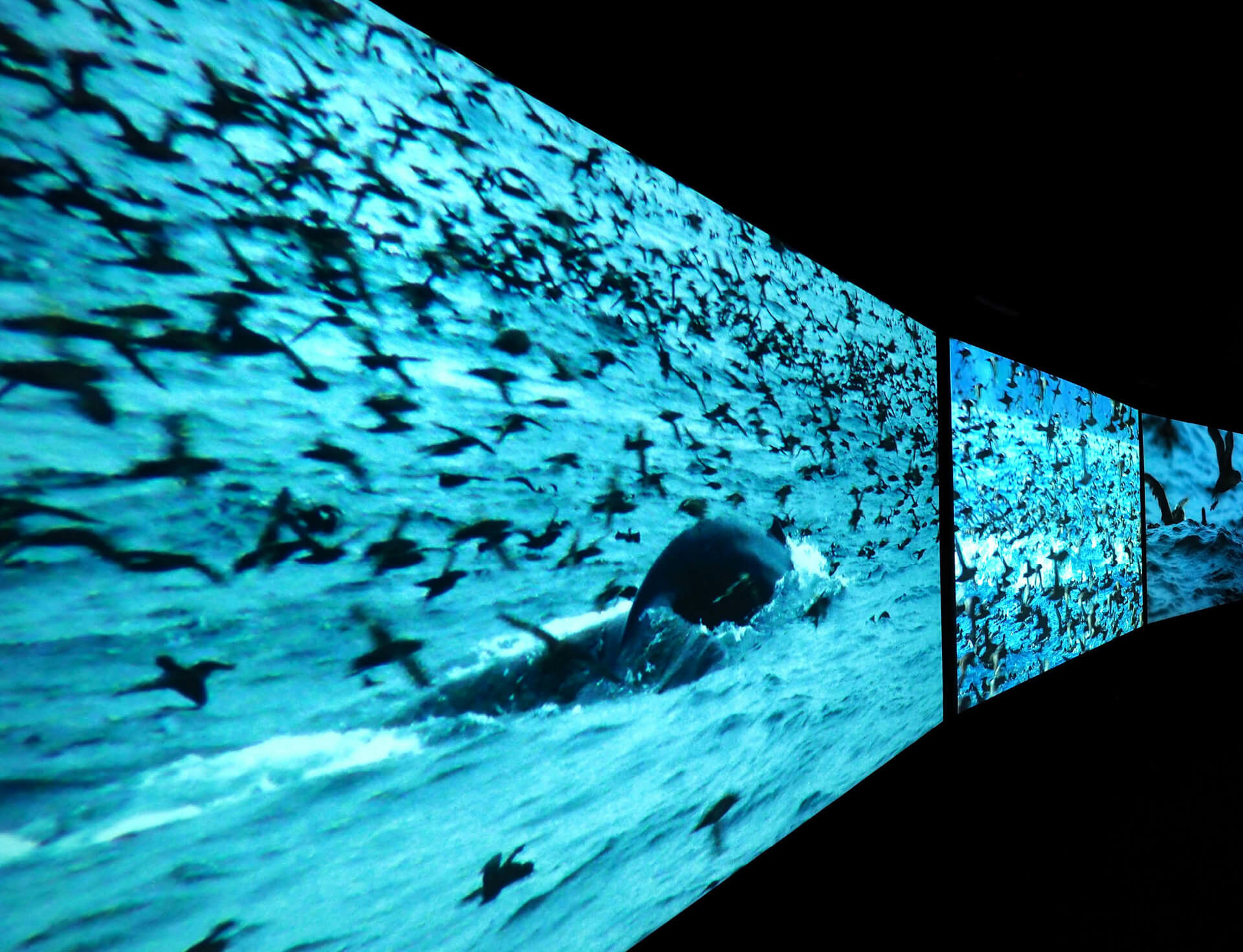 Arnolfini to host UK premier of John Akomfrah's 'Vertigo Sea'