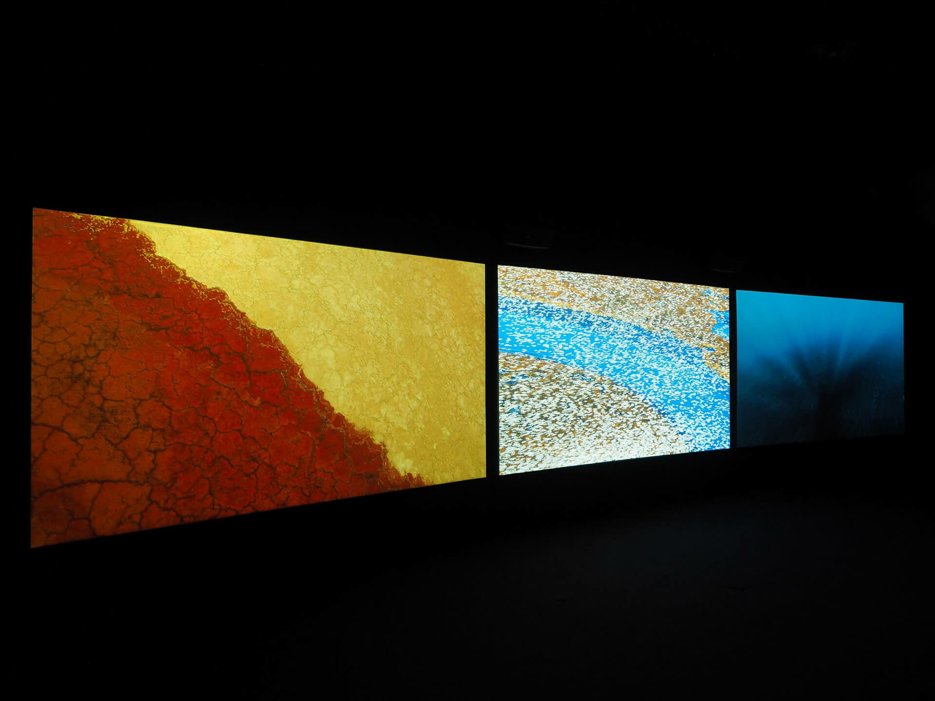 Akomfrah's 'Vertigo Sea' opens at the Arnolfini