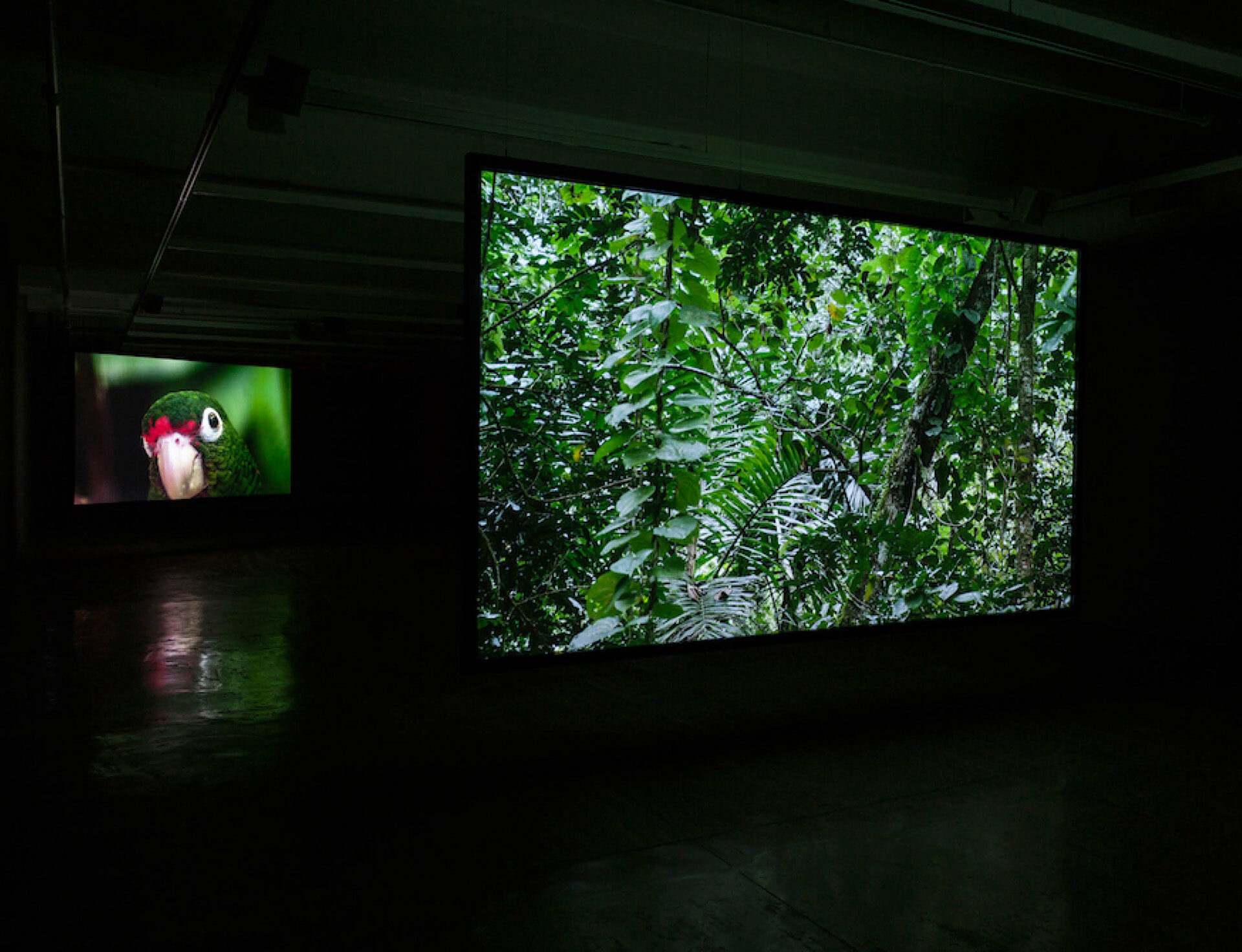 Alt art space presents two video installations by Allora & Calzadilla