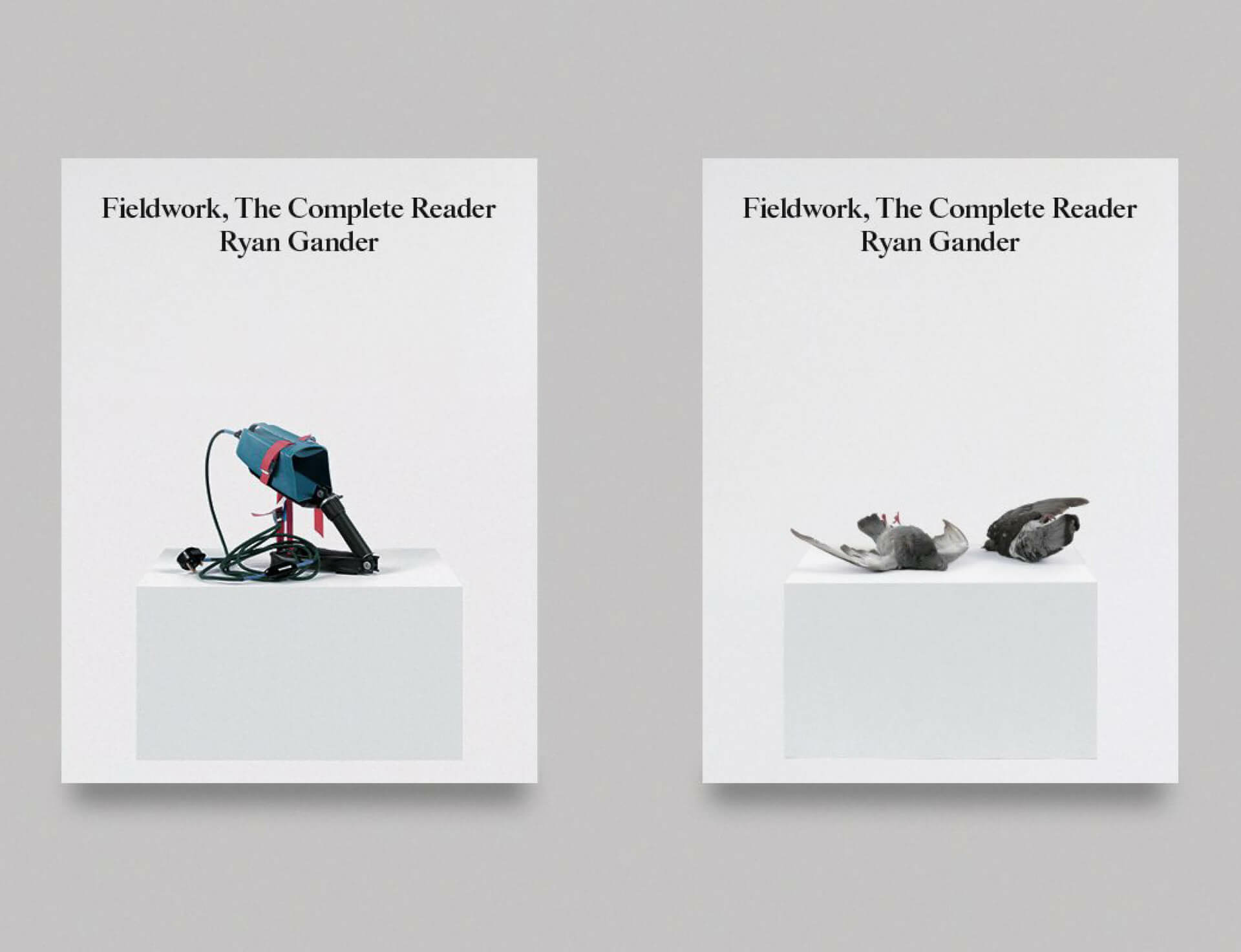 Ryan Gander's 'Fieldwork, The Complete Reader' launches on 3 November